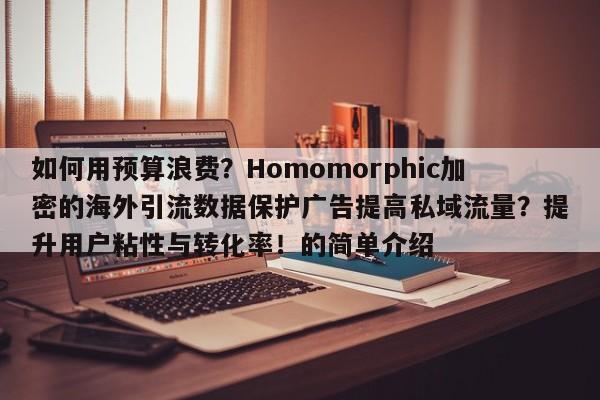 如何用预算浪费?Homomorphic加密的海外引流数据保护广告提高私域流量?提升用户粘性与转化率!的简单介绍