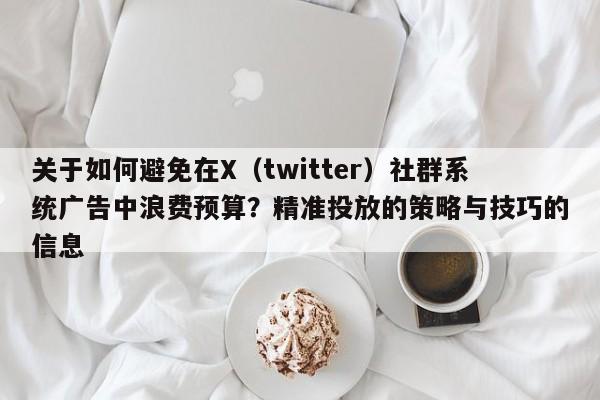 关于如何避免在X(twitter)社群系统广告中浪费预算?精准投放的策略与技巧的信息