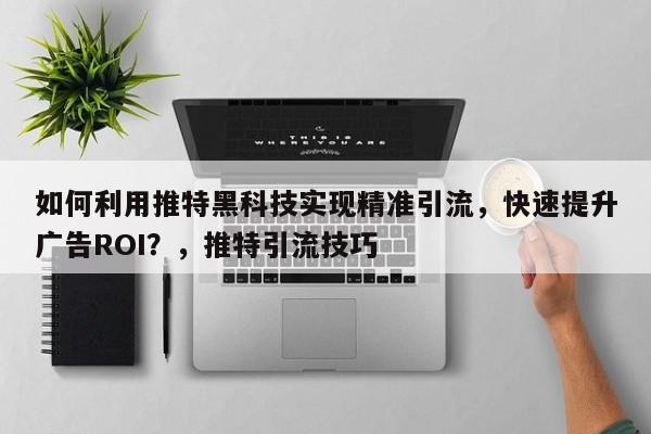 如何利用推特黑科技实现精准引流，快速提升广告ROI？，推特引流技巧