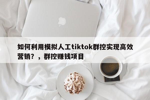 如何利用模拟人工tiktok群控实现高效营销?,群控赚钱项目