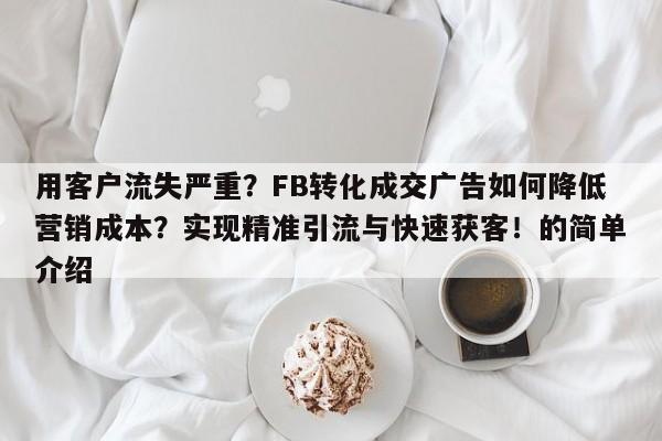 用客户流失严重?FB转化成交广告如何降低营销成本?实现精准引流与快速获客!的简单介绍