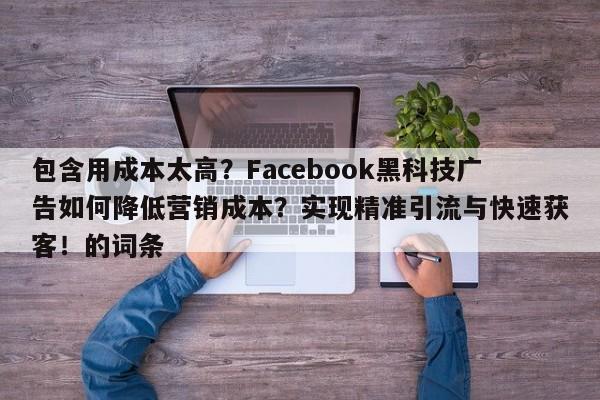 包含用成本太高?Facebook黑科技广告如何降低营销成本?实现精准引流与快速获客!的词条
