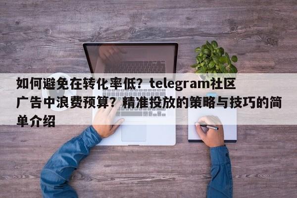 如何避免在转化率低?telegram社区广告中浪费预算?精准投放的策略与技巧的简单介绍