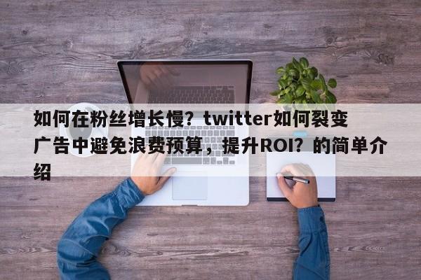 如何在粉丝增长慢?twitter如何裂变广告中避免浪费预算,提升ROI?的简单介绍