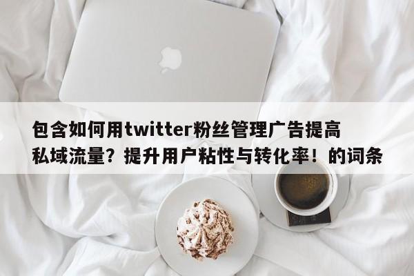 包含如何用twitter粉丝管理广告提高私域流量?提升用户粘性与转化率!的词条