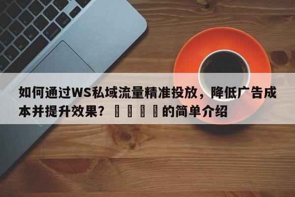 如何通过WS私域流量精准投放,降低广告成本并提升效果?🎯的简单介绍