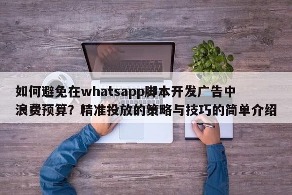 如何避免在whatsapp脚本开发广告中浪费预算?精准投放的策略与技巧的简单介绍