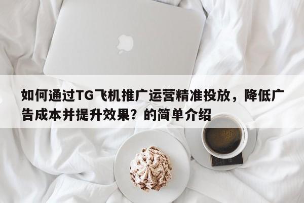 如何通过TG飞机推广运营精准投放,降低广告成本并提升效果?的简单介绍