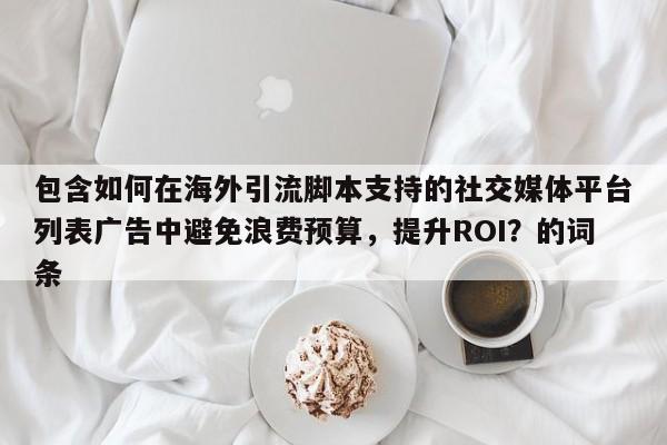 包含如何在海外引流脚本支持的社交媒体平台列表广告中避免浪费预算,提升ROI?的词条