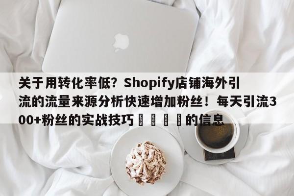 关于用转化率低？Shopify店铺海外引流的流量来源分析快速增加粉丝！每天引流300+粉丝的实战技巧🚀的信息