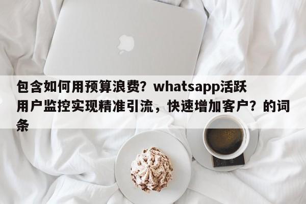 包含如何用预算浪费?whatsapp活跃用户监控实现精准引流,快速增加客户?的词条