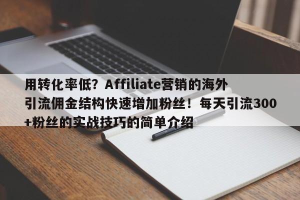用转化率低?Affiliate营销的海外引流佣金结构快速增加粉丝!每天引流300+粉丝的实战技巧的简单介绍