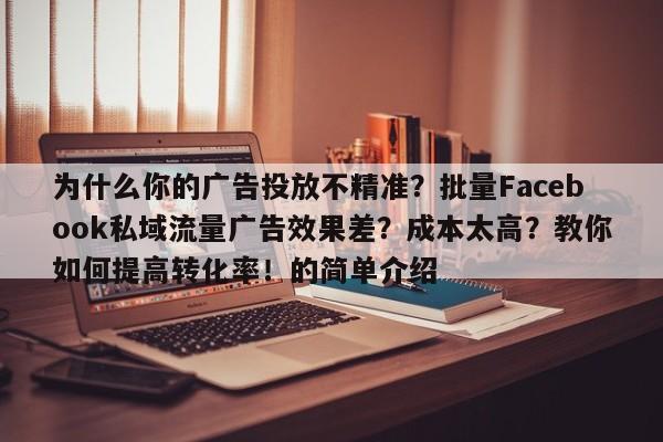 为什么你的广告投放不精准？批量Facebook私域流量广告效果差？成本太高？教你如何提高转化率！的简单介绍