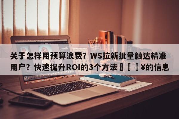 关于怎样用预算浪费?WS拉新批量触达精准用户?快速提升ROI的3个方法💥的信息