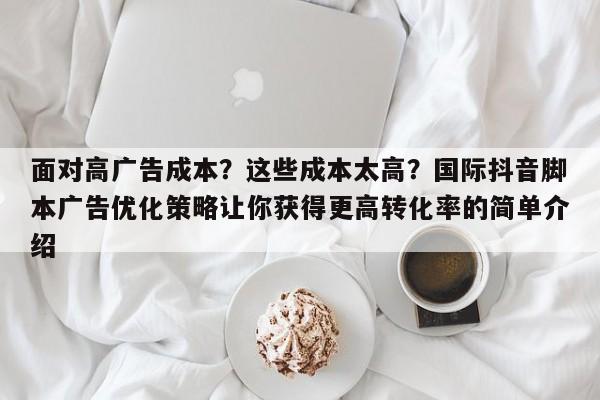 面对高广告成本？这些成本太高？国际抖音脚本广告优化策略让你获得更高转化率的简单介绍
