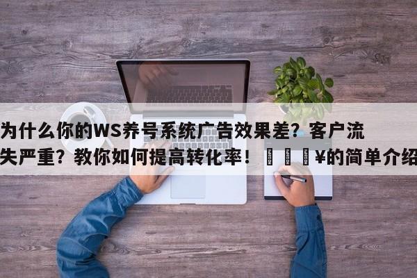 为什么你的WS养号系统广告效果差？客户流失严重？教你如何提高转化率！💥的简单介绍