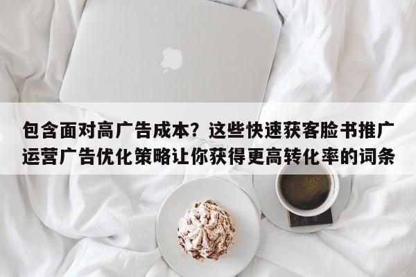 包含面对高广告成本?这些快速获客脸书推广运营广告优化策略让你获得更高转化率的词条