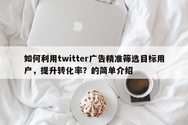 如何利用twitter广告精准筛选目标用户,提升转化率?的简单介绍