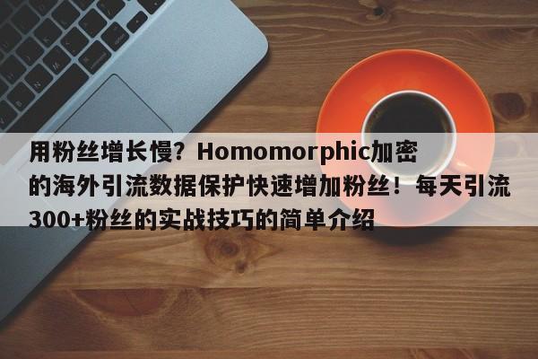 用粉丝增长慢?Homomorphic加密的海外引流数据保护快速增加粉丝!每天引流300+粉丝的实战技巧的简单介绍