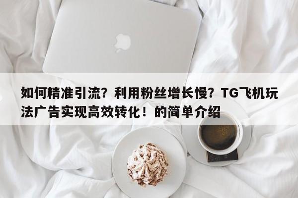 如何精准引流?利用粉丝增长慢?TG飞机玩法广告实现高效转化!的简单介绍