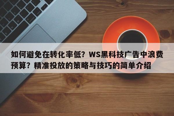 如何避免在转化率低?WS黑科技广告中浪费预算?精准投放的策略与技巧的简单介绍