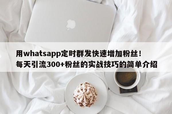 用whatsapp定时群发快速增加粉丝!每天引流300+粉丝的实战技巧的简单介绍