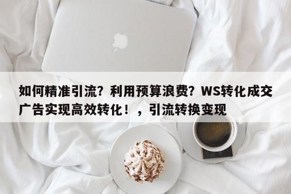 如何精准引流?利用预算浪费?WS转化成交广告实现高效转化!,引流转换变现