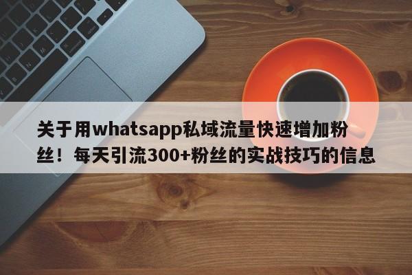关于用whatsapp私域流量快速增加粉丝！每天引流300+粉丝的实战技巧的信息