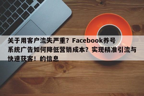 关于用客户流失严重？Facebook养号系统广告如何降低营销成本？实现精准引流与快速获客！的信息