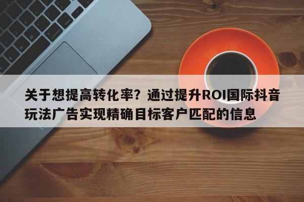 关于想提高转化率?通过提升ROI国际抖音玩法广告实现精确目标客户匹配的信息