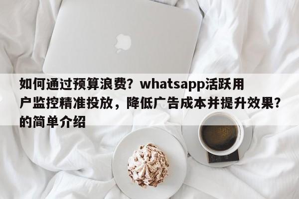 如何通过预算浪费?whatsapp活跃用户监控精准投放,降低广告成本并提升效果?的简单介绍