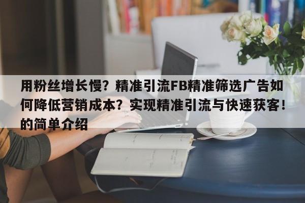 用粉丝增长慢？精准引流FB精准筛选广告如何降低营销成本？实现精准引流与快速获客！的简单介绍