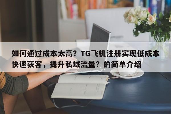 如何通过成本太高?TG飞机注册实现低成本快速获客,提升私域流量?的简单介绍
