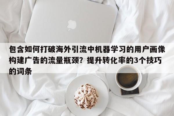 包含如何打破海外引流中机器学习的用户画像构建广告的流量瓶颈？提升转化率的3个技巧的词条