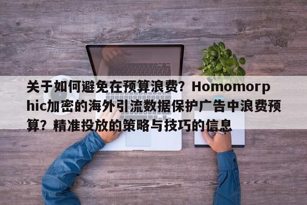 关于如何避免在预算浪费？Homomorphic加密的海外引流数据保护广告中浪费预算？精准投放的策略与技巧的信息