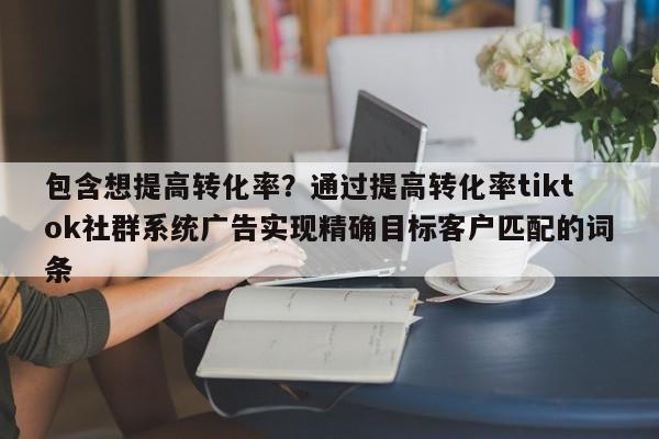 包含想提高转化率?通过提高转化率tiktok社群系统广告实现精确目标客户匹配的词条