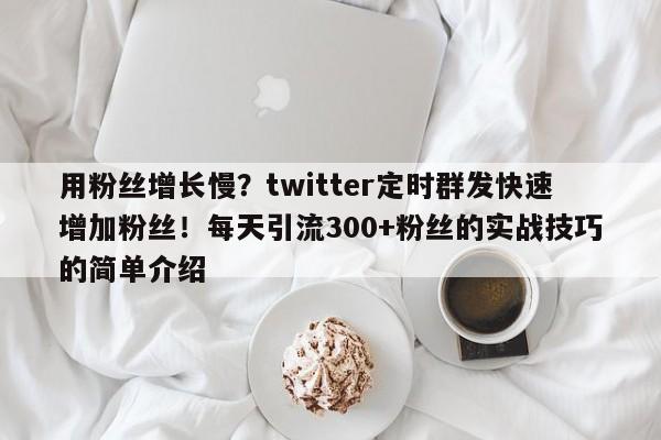 用粉丝增长慢?twitter定时群发快速增加粉丝!每天引流300+粉丝的实战技巧的简单介绍