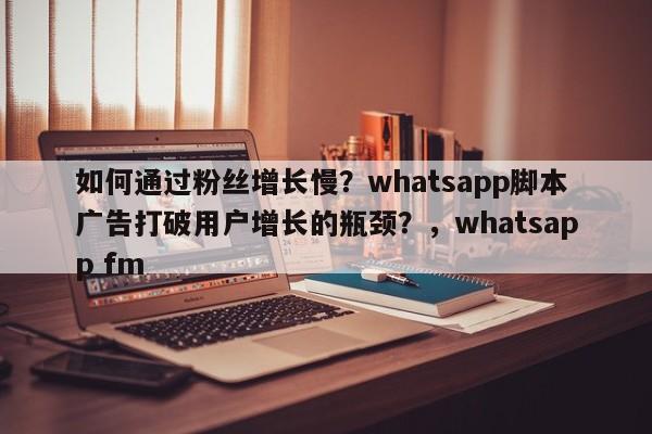 如何通过粉丝增长慢?whatsapp脚本广告打破用户增长的瓶颈?,whatsapp fm