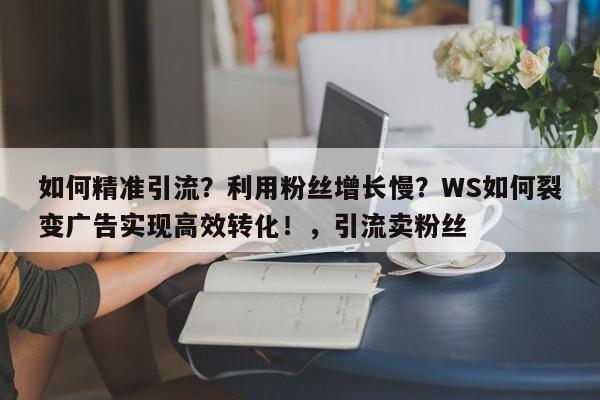 如何精准引流？利用粉丝增长慢？WS如何裂变广告实现高效转化！，引流卖粉丝