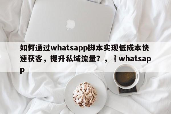 如何通过whatsapp脚本实现低成本快速获客,提升私域流量?,whatsapp
