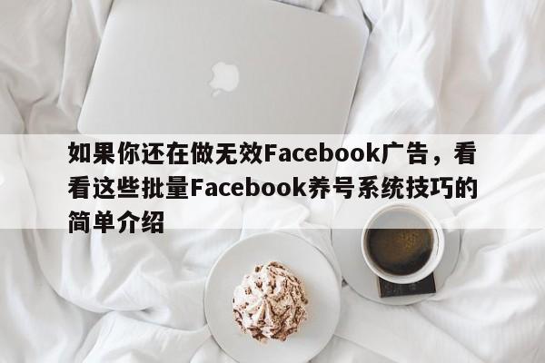 如果你还在做无效Facebook广告,看看这些批量Facebook养号系统技巧的简单介绍