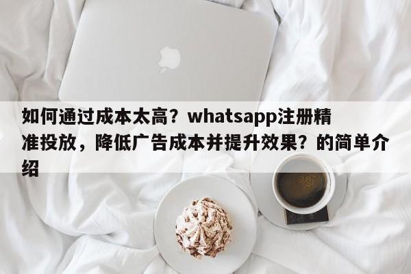 如何通过成本太高?whatsapp注册精准投放,降低广告成本并提升效果?的简单介绍
