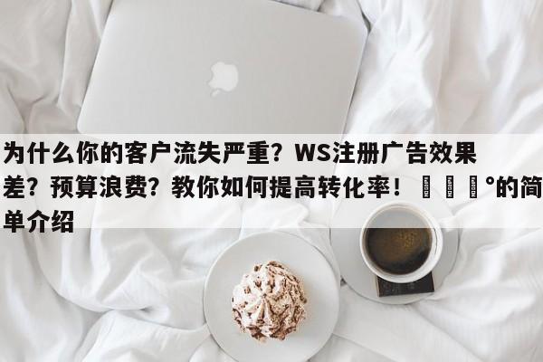 为什么你的客户流失严重?WS注册广告效果差?预算浪费?教你如何提高转化率!💰的简单介绍
