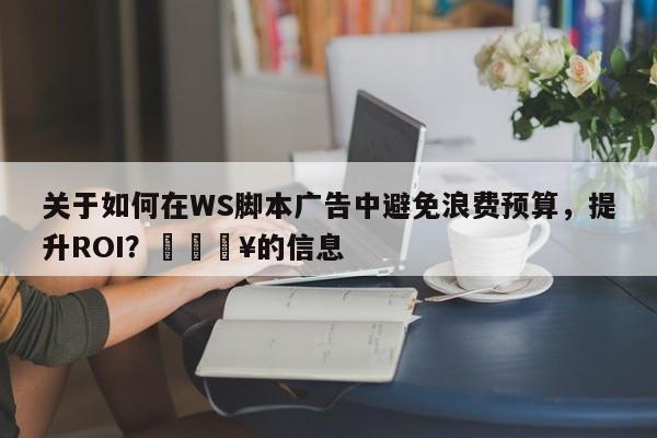 关于如何在WS脚本广告中避免浪费预算,提升ROI?💥的信息