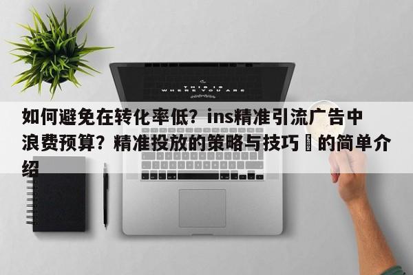 如何避免在转化率低?ins精准引流广告中浪费预算?精准投放的策略与技巧⚡的简单介绍