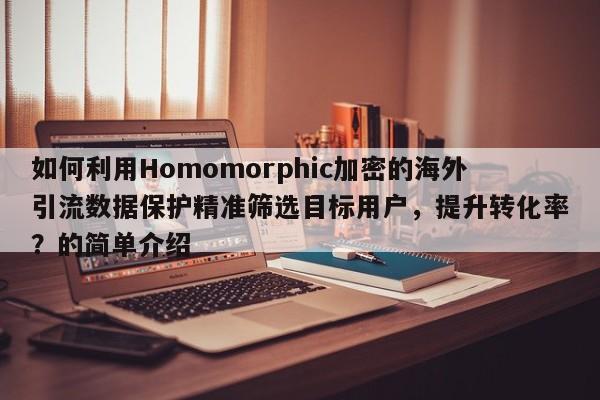 如何利用Homomorphic加密的海外引流数据保护精准筛选目标用户,提升转化率?的简单介绍