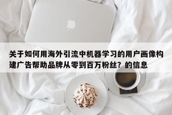 关于如何用海外引流中机器学习的用户画像构建广告帮助品牌从零到百万粉丝?的信息