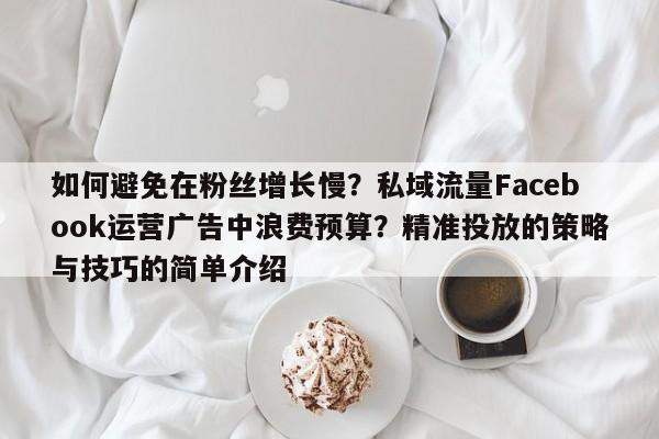如何避免在粉丝增长慢？私域流量Facebook运营广告中浪费预算？精准投放的策略与技巧的简单介绍