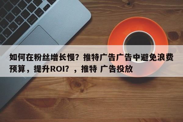 如何在粉丝增长慢？推特广告广告中避免浪费预算，提升ROI？，推特 广告投放