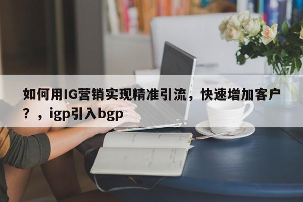 如何用IG营销实现精准引流,快速增加客户?,igp引入bgp